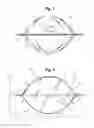 Fig. 04 - Pouch for fresh produce item and method