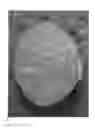 Fig. 05 - METHOD FOR MANUFACTURING RETORT RICE, AND RETORT RICE