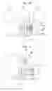 Fig. 27 - Liquid processing apparatus, liquid processing method, and storage medium