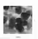 Fig. 04 - Coated paper