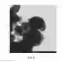 Fig. 06 - Coated paper