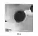 Fig. 10 - Coated paper