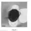 Fig. 12 - Coated paper