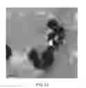 Fig. 14 - Coated paper