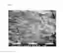 Fig. 02 - Polyalkylene carbonate and polyolefin-based adhesive member and adhesive structure including the same