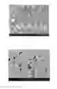 Fig. 02 - NANOSTRUCTURED COMPOSITE METAL OXIDE MATERIAL, PRODUCTION METHOD AND USE