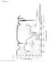 Fig. 04 - Adhesion promoting agents for metallization of substrate surfaces