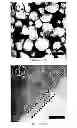 Fig. 06 - Shell activated sintering of core-shell particles
