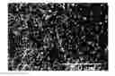 Fig. 01 - Beta-alumina-based sintered compact and its production method