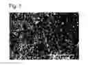 Fig. 02 - Beta-alumina-based sintered compact and its production method