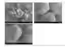 Fig. 01 - Neutralizing agents for resin emulsions