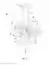 Fig. 04 - Dual fuel pilot light burner