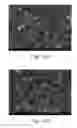 Fig. 14 - Implant surface with increased hydrophilicity