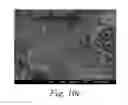 Fig. 15 - Implant surface with increased hydrophilicity