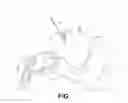 Fig. 09 - Simulation system and methods for surgical training