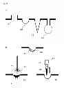 Fig. 04 - LIQUID REFLUX HIGH-SPEED GENE AMPLIFICATION DEVICE