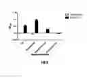 Fig. 05 - Diagnosis of tuberculosis