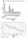 Fig. 07 - Diagnosis of tuberculosis