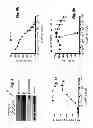 Fig. 09 - Protease deubiquitinating inhibitor screening