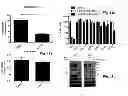 Fig. 15 - Protease deubiquitinating inhibitor screening