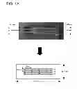 Fig. 02 - Quantitative multiplex detection of pathogen biomarkers
