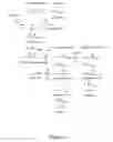 Fig. 02 - MODIFIED MICROORGANISMS AND METHODS OF MAKING BUTADIENE USING SAME