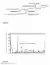 Fig. 05 - Production of 1,3-dienes by enzymatic conversion of 3-hydroxyalk 4-enoates and/or 3-phosphonoxyalk-4-enoates