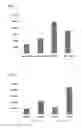 Fig. 02 - Mesenchymal stem cell basic culturing medium