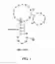 Fig. 02 - Nucleic acid molecule having binding affinity to rodent-derived IgG antibody, binder, detection reagent, and detection kit