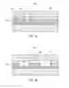 Fig. 02 - Nanochannel process and structure for bio-detection