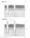 Fig. 04 - SOI structure for signal isolation and linearity