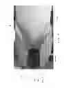 Fig. 06 - Amphibian