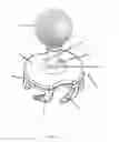 Fig. 02 - Golf teeing device