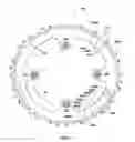 Fig. 05 - Bicycle chain rings with ramps