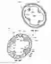 Fig. 21 - Bicycle chain rings with ramps