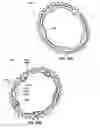 Fig. 28 - Bicycle chain rings with ramps