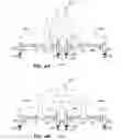 Fig. 04 - UPPER BODY WORKOUT APPARATUSES AND ASSEMBLY THEREOF
