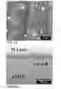 Fig. 04 - Multifunctional cerium-based nanomaterials and methods for producing the same
