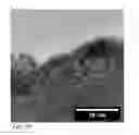 Fig. 09 - Multifunctional cerium-based nanomaterials and methods for producing the same