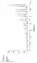Fig. 40 - T cell receptor display