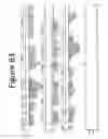 Fig. 85 - Unitary biochip providing sample-in to results-out processing and methods of manufacture