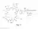 Fig. 07 - High purity lipopeptides