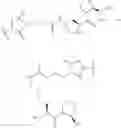 Fig. 45 - PEPTIDE-PEPTIDASE INHIBITOR CONJUGATES AND METHODS OF USING SAME