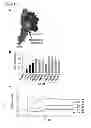 Fig. 02 - Peptides targeting receptor activator of nuclear factor-κB (RANK) and their applications