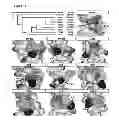 Fig. 09 - Peptides targeting receptor activator of nuclear factor-κB (RANK) and their applications