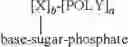 Fig. 06 - Oligomer-nucleoside phosphate conjugates