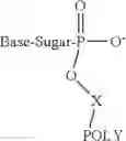 Fig. 07 - Oligomer-nucleoside phosphate conjugates