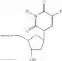 Fig. 35 - Oligomer-nucleoside phosphate conjugates