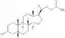 Fig. 22 - Farnesoid X receptor modulators