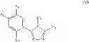 Fig. 06 - Triazole compounds that modulate HSP90 activity